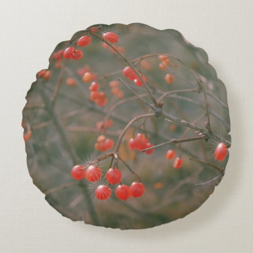 Festive Red Berries Christmas Nature Photo  Round Pillow