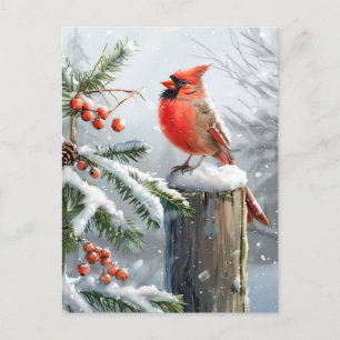 Festive red Cardinal Christmas Greeting Postcard