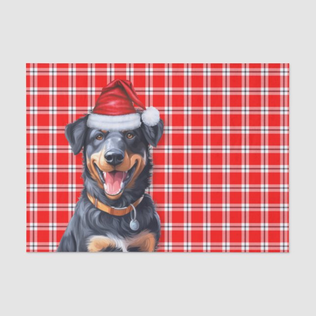 Festive Red Plaid and Beauceron Dog Christmas Tissue Paper (Front)