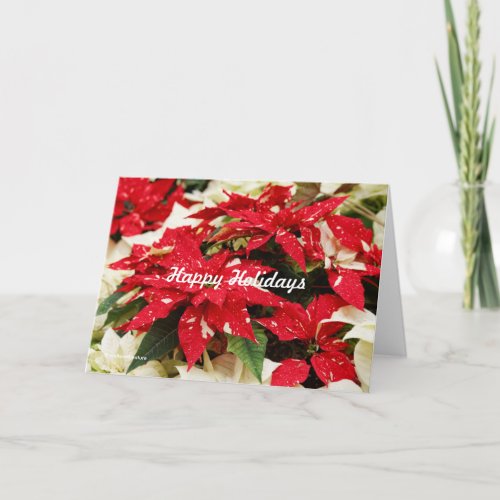 Festive Red White Floral Poinsettia Flowers Holiday Card