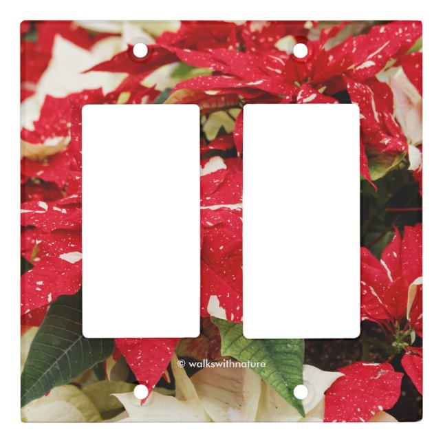 Festive Red White Floral Poinsettia Flowers Light Switch Cover (Front)