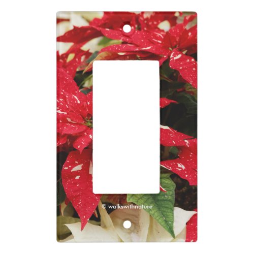 Festive Red White Floral Poinsettia Flowers Light Switch Cover