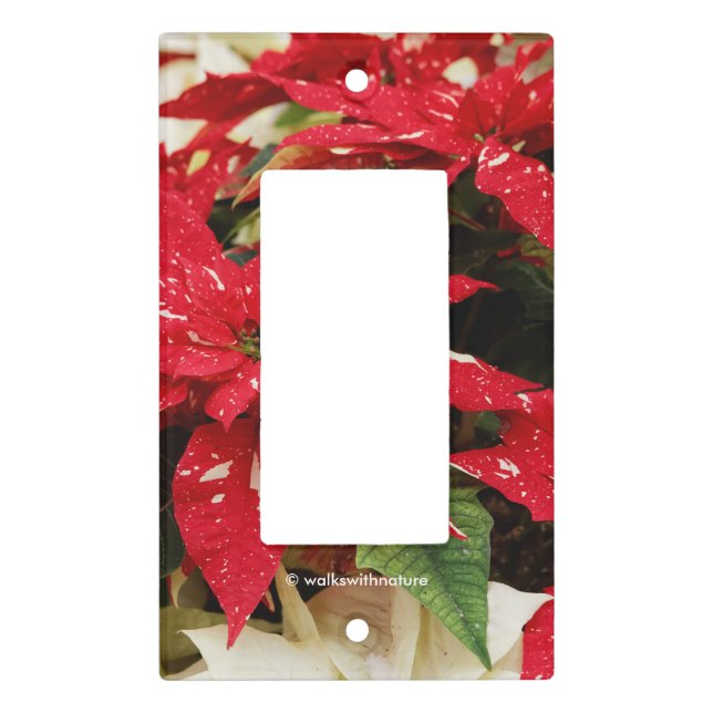 Festive Red White Floral Poinsettia Flowers Light Switch Cover (Front)
