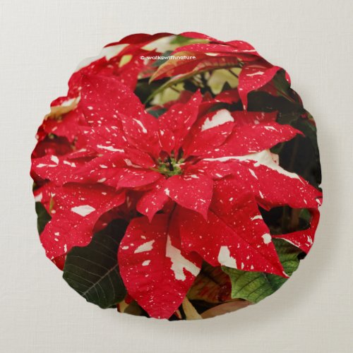 Festive Red White Floral Poinsettia Flowers Round Pillow