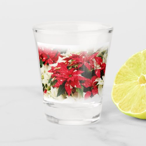 Festive Red White Floral Poinsettia Flowers Shot Glass