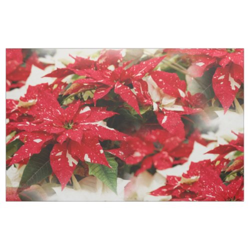 Festive Red White Floral Poinsettias Fabric