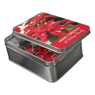 Festive Red White Floral Poinsettias