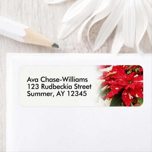 Festive Red White Floral Poinsettias Label (Insitu)