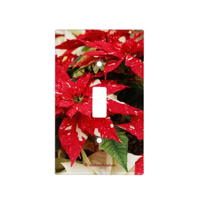 Festive Red White Floral Poinsettias Light Switch Cover (Front)