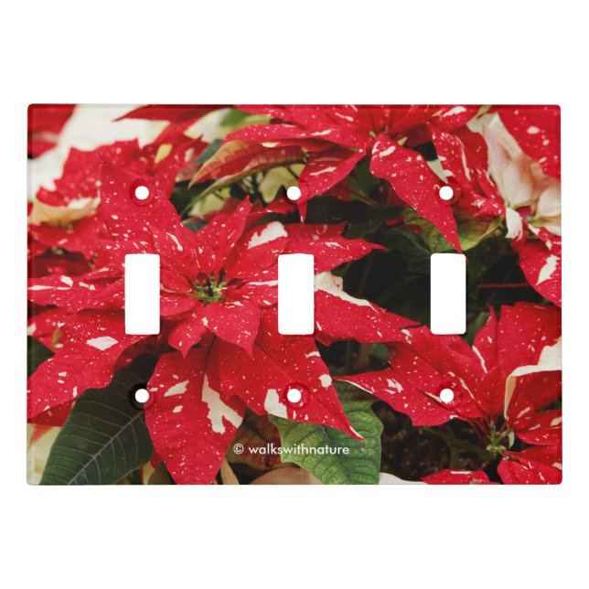 Festive Red White Floral Poinsettias Light Switch Cover (Front)