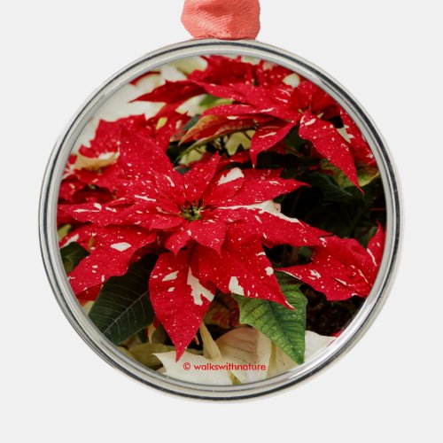 Festive Red White Floral Poinsettias Metal Ornament