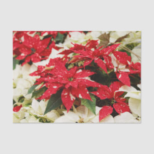Festive Red White Floral Poinsettias Tissue Paper