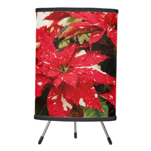 Festive Red White Floral Poinsettias Tripod Lamp (Front)