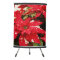 Festive Red White Floral Poinsettias