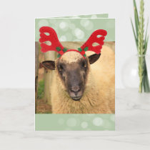 Festive Reindeer Sheep Christmas Holiday Card