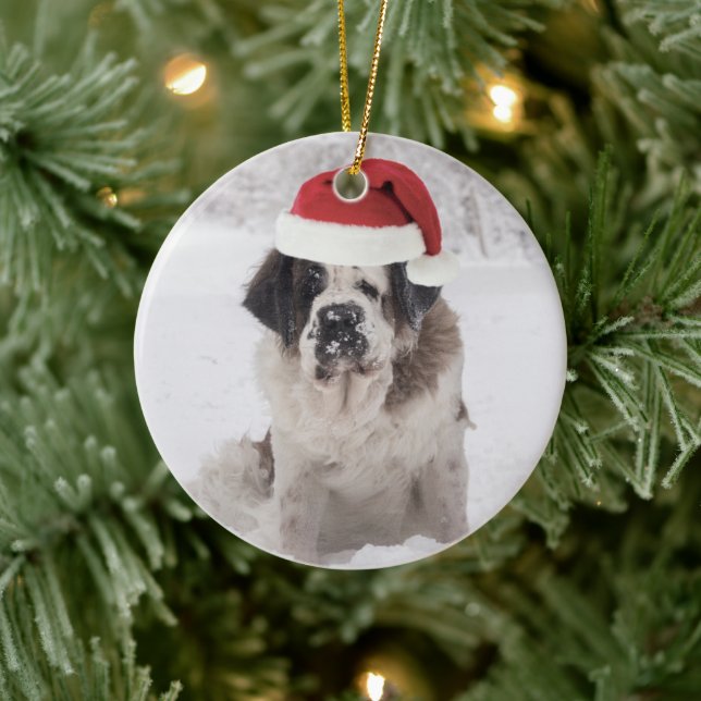 Festive Saint bernard dog with santa hat Ceramic Ornament (Tree)