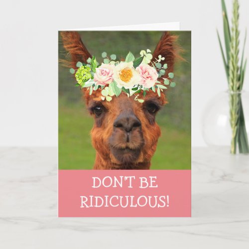 Festive Silly Llama Get Well Card