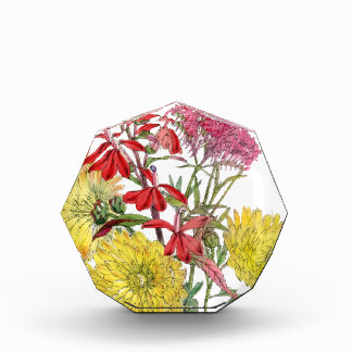 Festive Sring Floral Gifts