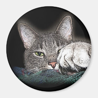 Festus the Bestus Magnet