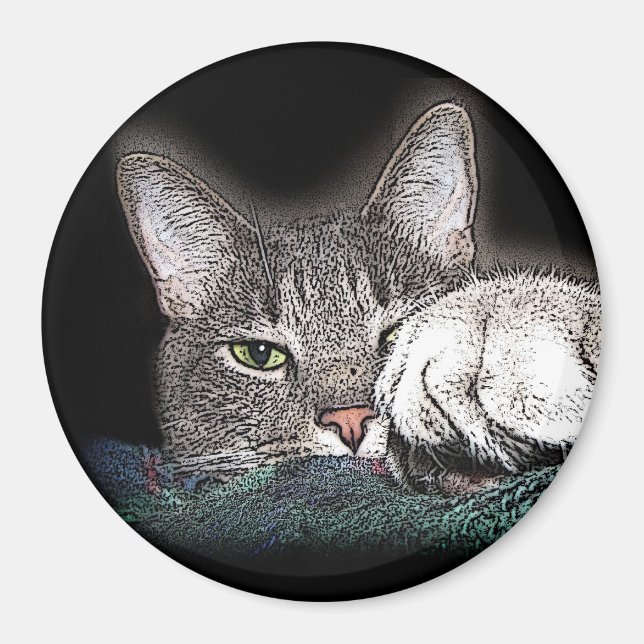 Festus the Bestus Magnet (Front)