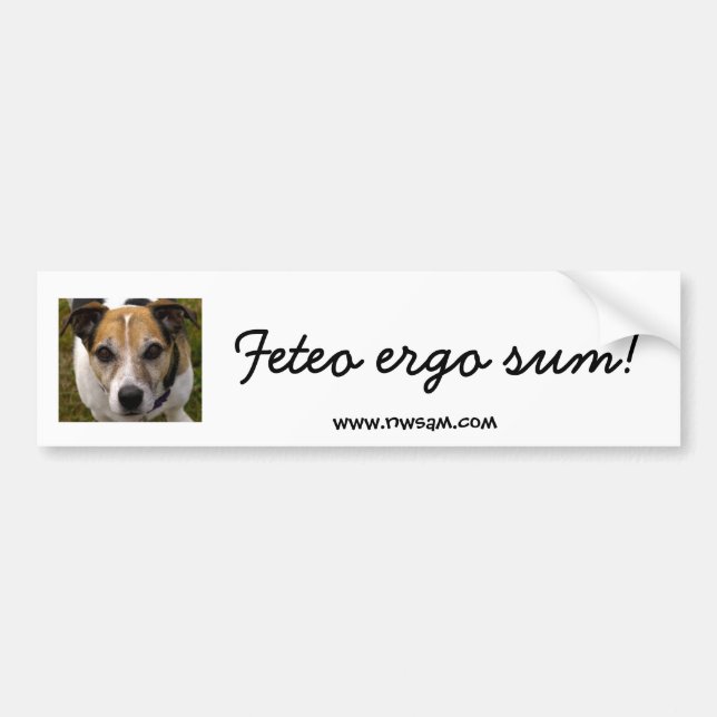 Feteo ergo sum bumper sticker (Front)