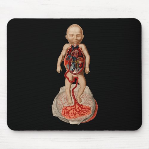 fetus blood circulation Illustration Mouse Pad