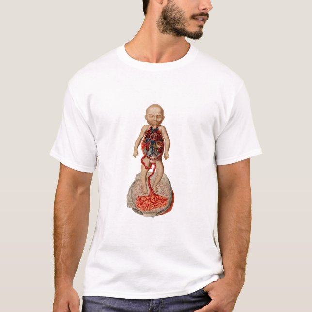 fetus blood circulation Illustration T-Shirt (Front)