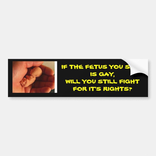 fetus, IF THE FETUS YOU SAVE IS GAY,WILL YOU ST... Bumper Sticker (Front)