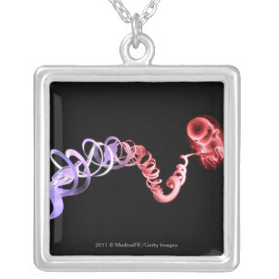 Fetus with an umbilical cord made of DNA strands Silver Plated Necklace