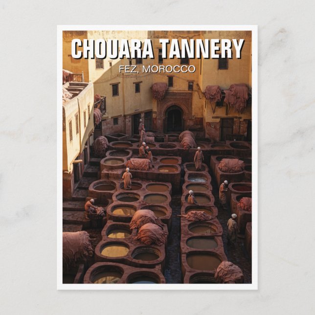 Fez Morocco Travel Postcard (Front)