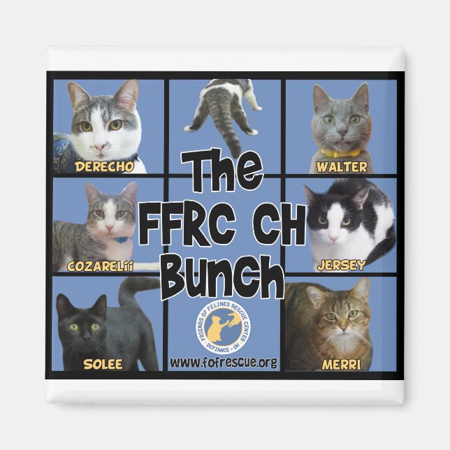 FFRC CH Bunch Magnet (Front)
