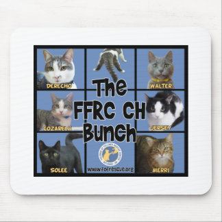 FFRC CH Bunch Mousepad
