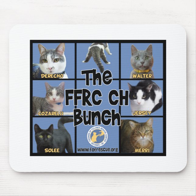 FFRC CH Bunch Mousepad (Front)