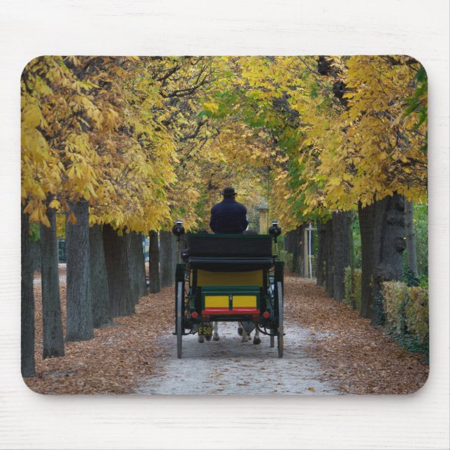 Fiaker In Schönbrunn, Wien Österreich Mouse Pad (Front)