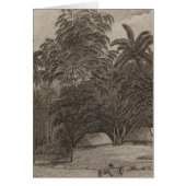 Fiatooka, Tongataboo, Tonga (Front)