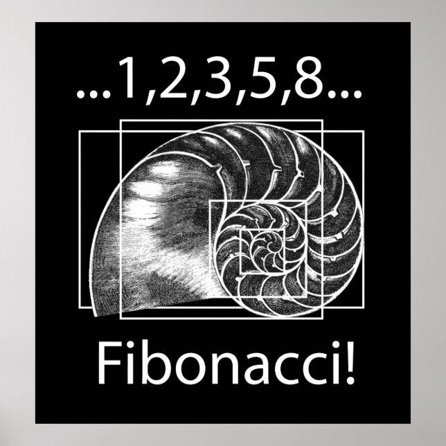 Fibonacci Poster (Front)