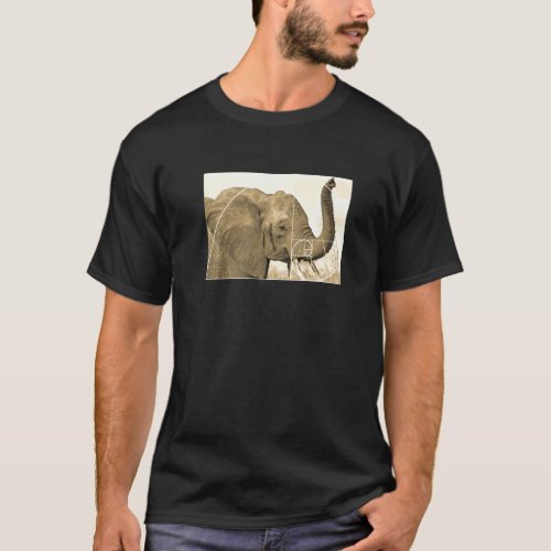 Fibonacci Spiral Math Golden Ratio Elephant T_Shirt