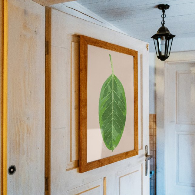 Ficus altissima 'Yellow Gem' leaf Poster (Creator Uploaded)