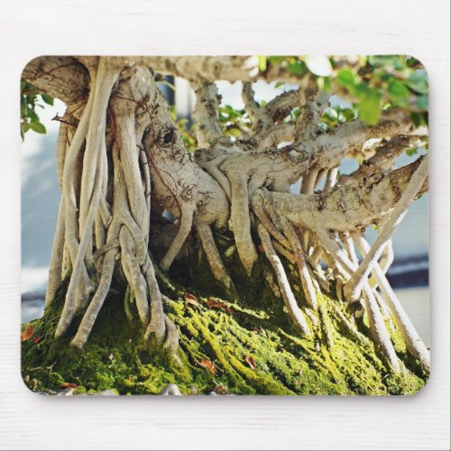 Ficus Banyan Bonsai Tree Roots Mouse Pad