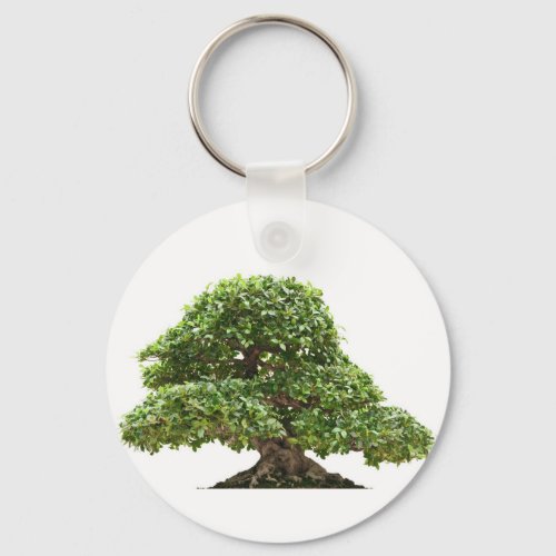 Ficus bonsai isolated keychain