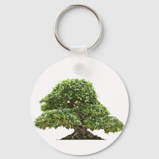 Ficus bonsai isolated keychain (Front)