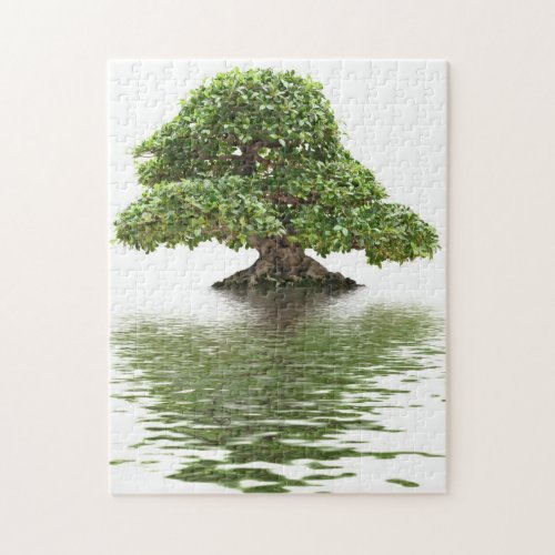 Ficus bonsai jigsaw puzzle