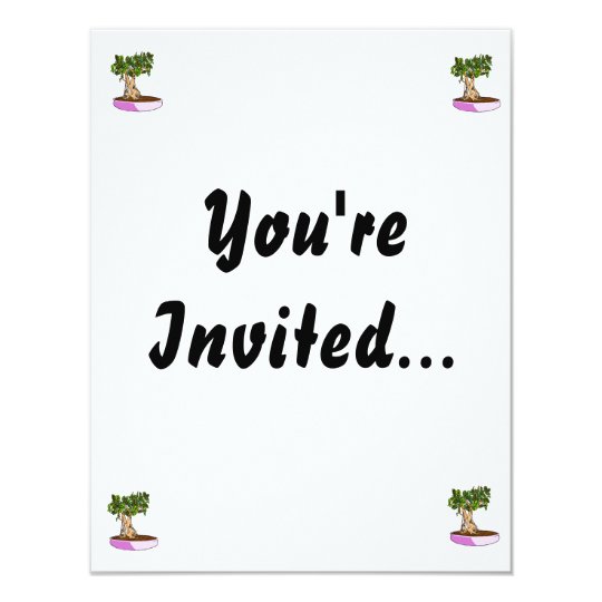 Ficus Bonsai Purple Tray Card