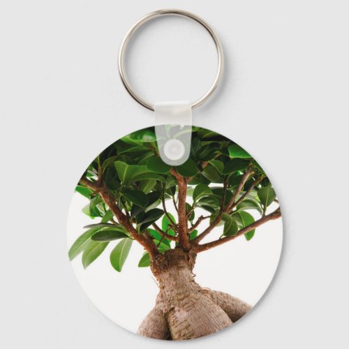 Ficus Ginseng Keychain