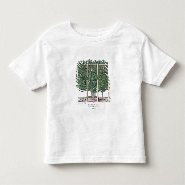 Ficus indica eystettensis, from the 'Hortus Eystet Toddler T-shirt (Front)
