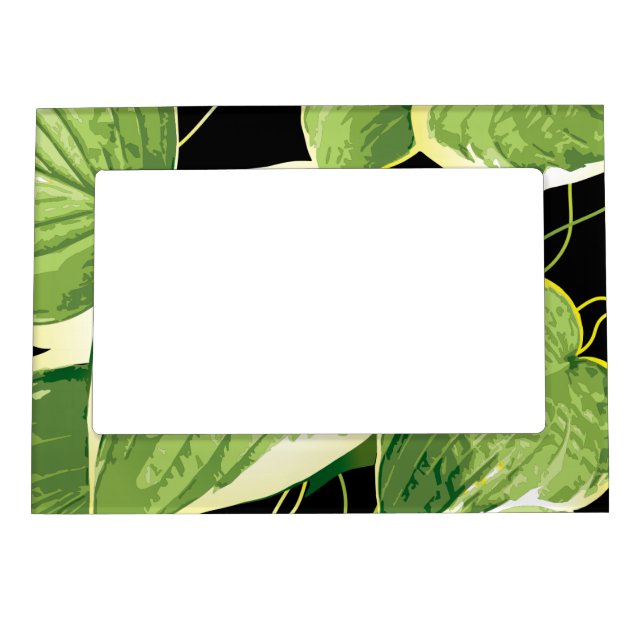 Ficus Plant 3 Magnetic Frame (Front)