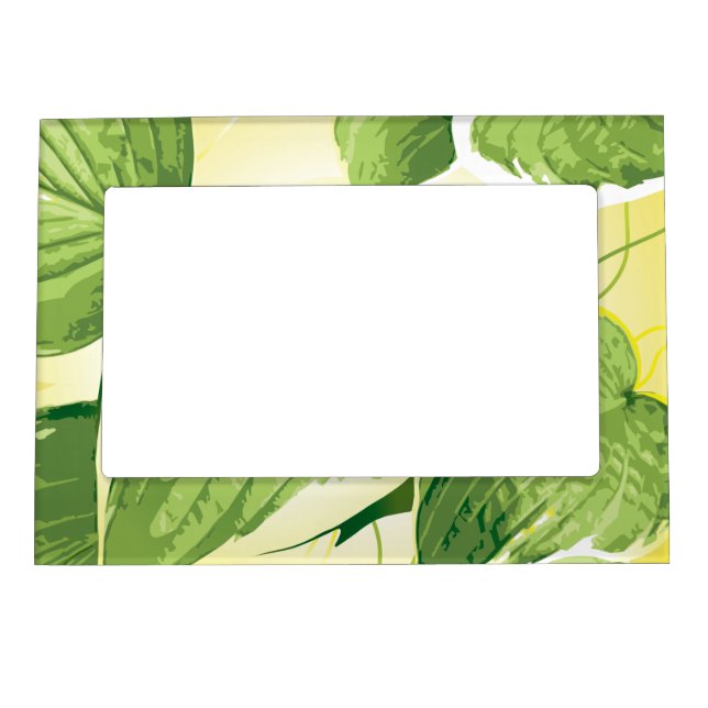 Ficus Plant 4 Magnetic Frame (Front)