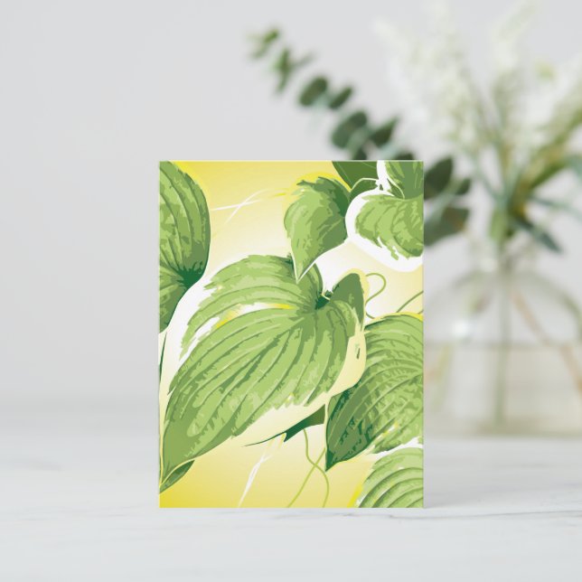Ficus Plant 4 Postcard (Standing Front)