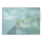 fiddle dee dee. (Front Horizontal)