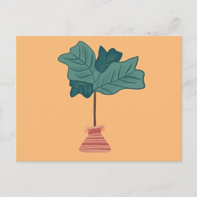Fiddle Fig Tree Green Potted Plant Illustration Postcard (Front)